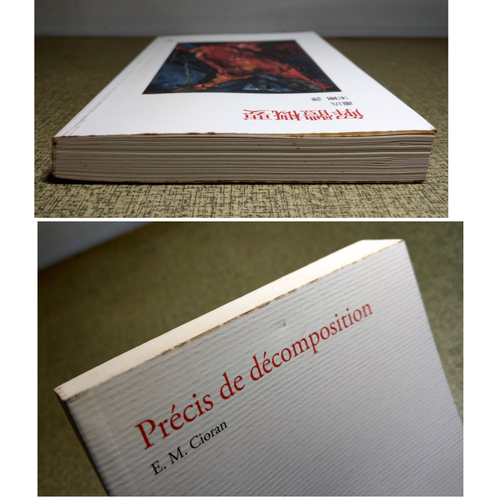 (2008年 初版 一刷)解體概要(書側髒污)│蕭沆│行人│書、二手書、1刷│六成新-細節圖3