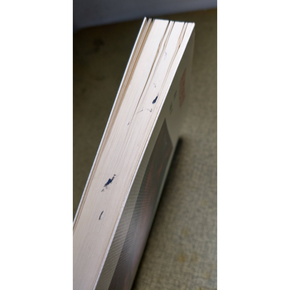 (2008年 初版 一刷)解體概要(書側髒污)│蕭沆│行人│書、二手書、1刷│六成新-細節圖5