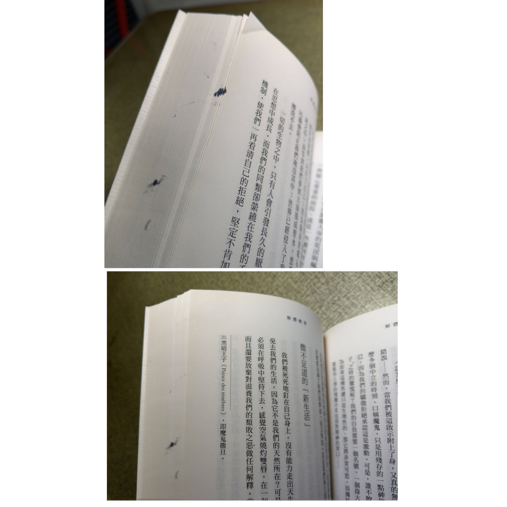 (2008年 初版 一刷)解體概要(書側髒污)│蕭沆│行人│書、二手書、1刷│六成新-細節圖8