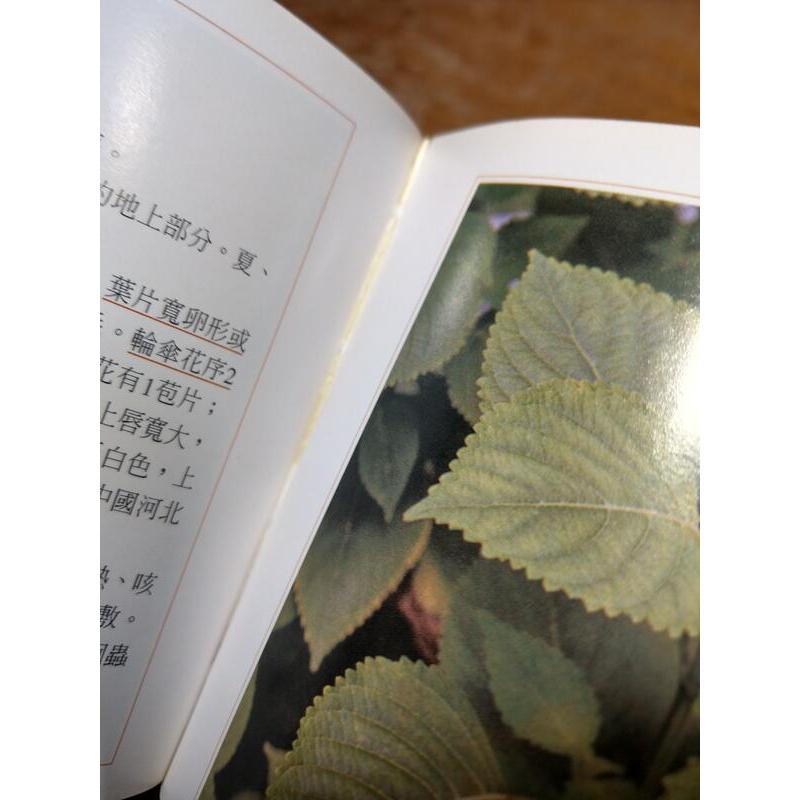 中草藥野外識別手冊：1-3冊合售(書頁歪斜)│譚樹輝│西北│中草藥 野外識別手冊、1、2、3│圖書老舊-細節圖7