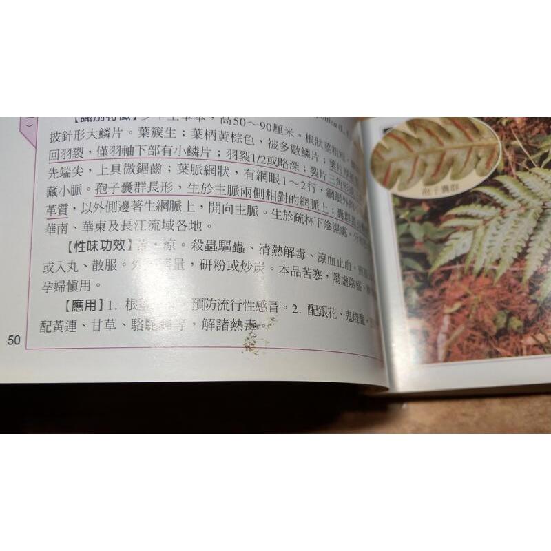 中草藥野外識別手冊：1-3冊合售(書頁歪斜)│譚樹輝│西北│中草藥 野外識別手冊、1、2、3│圖書老舊-細節圖8