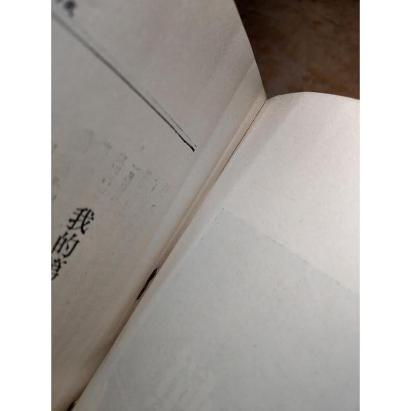 (民國69年再版)賴索│黃凡│時報│賴 索│老書-細節圖7