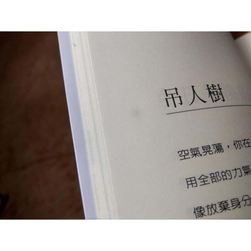 (民國96年初版)明朗│吳岱穎│花蓮縣文化局│七成新-細節圖4