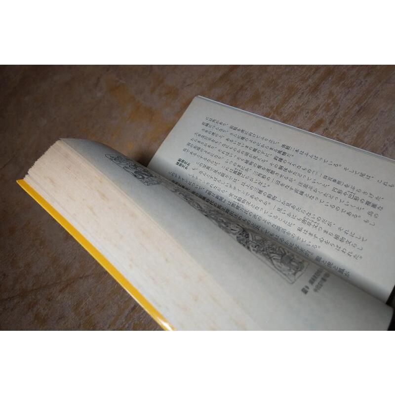 (1983年第一刷、日文書籍)中国の妖怪│中野美代子│岩波書店│中國的妖怪│老書-細節圖5