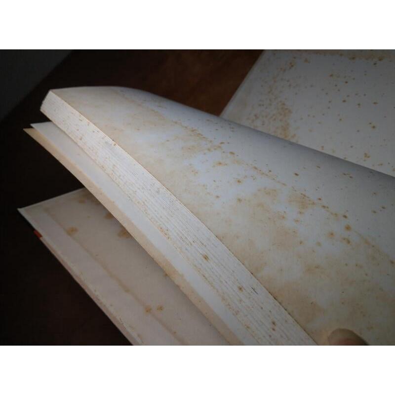 鉛筆素描技巧：保羅加利專集(大片黃斑、污漬)│Paul Calle The Pencil│雙和│老舊圖書-細節圖4