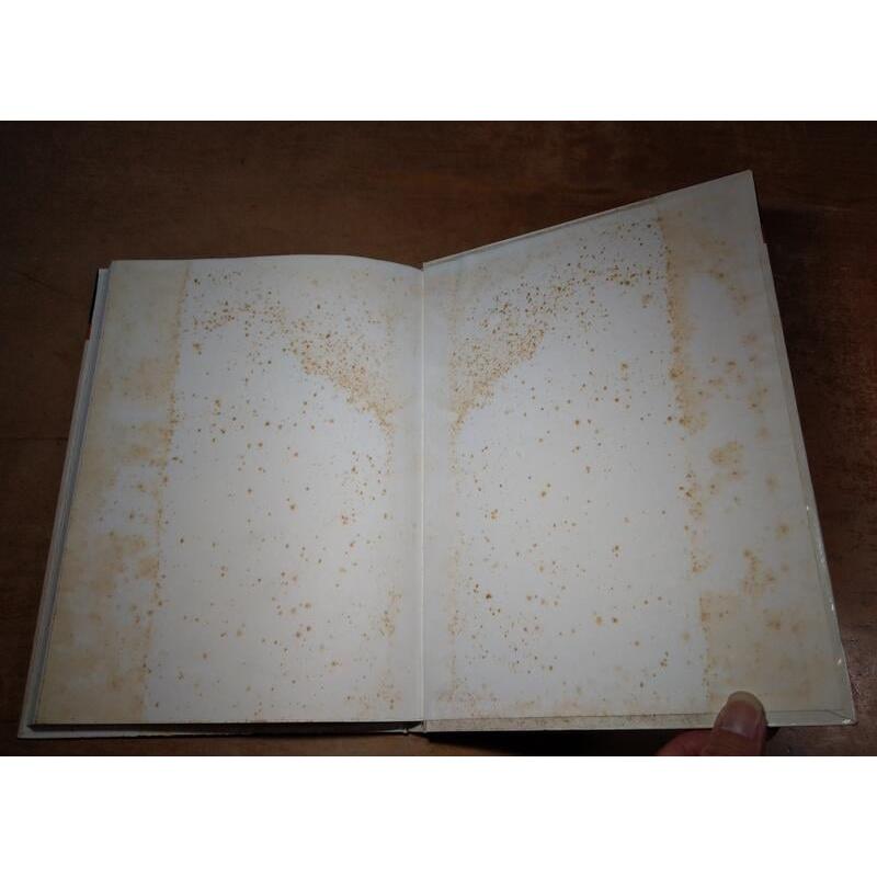 鉛筆素描技巧：保羅加利專集(大片黃斑、污漬)│Paul Calle The Pencil│雙和│老舊圖書-細節圖5