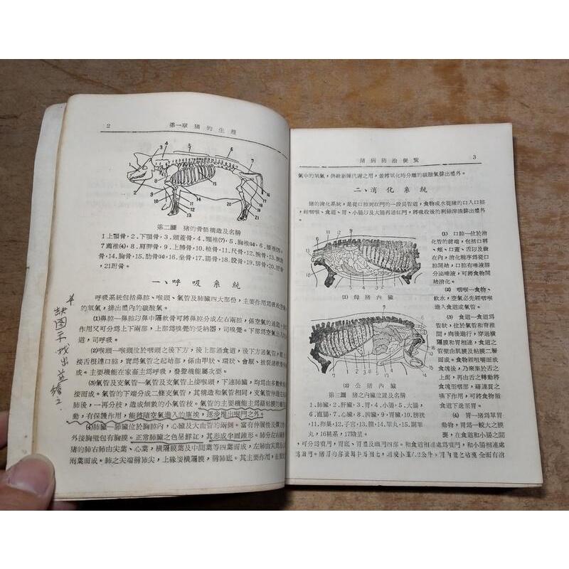 (民國60年修訂三版)豬病防治便覽(書頁磨損、破損)│趙法清│中國書局│老書-細節圖7