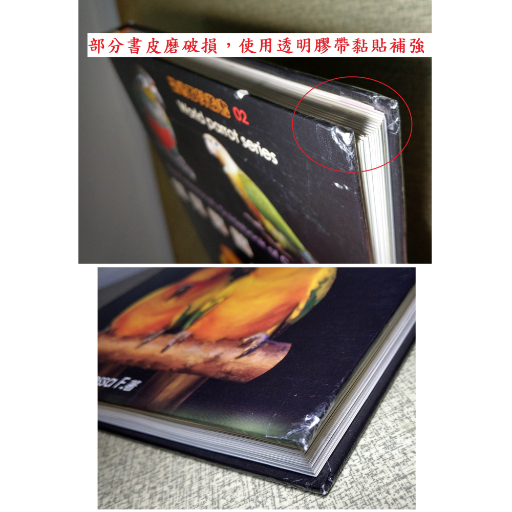 錐尾鸚鵡(書皮多 磨破損、碰撞凹痕)│Vanessa F.│卡布里│鸚鵡百科叢書02、2、鸚鵡、書、二手書│六成新-細節圖3