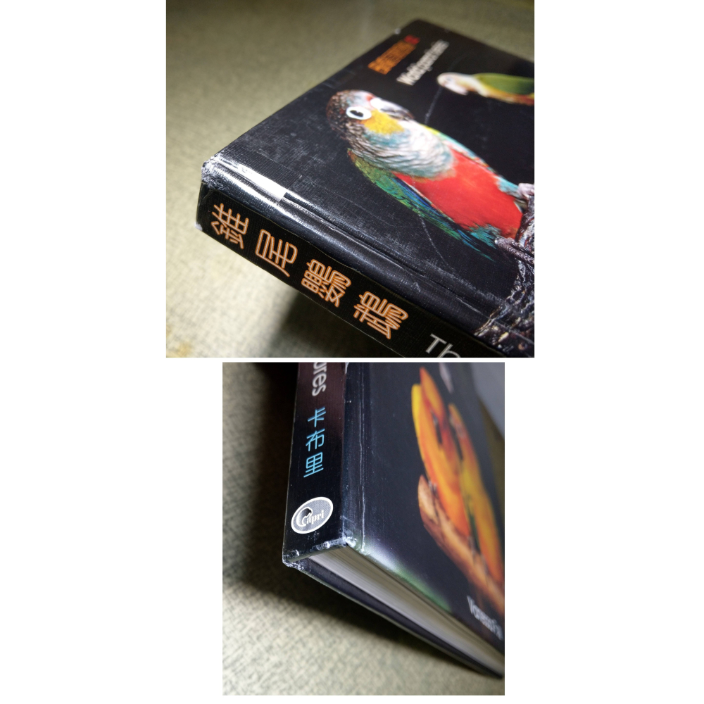 錐尾鸚鵡(書皮多 磨破損、碰撞凹痕)│Vanessa F.│卡布里│鸚鵡百科叢書02、2、鸚鵡、書、二手書│六成新-細節圖4