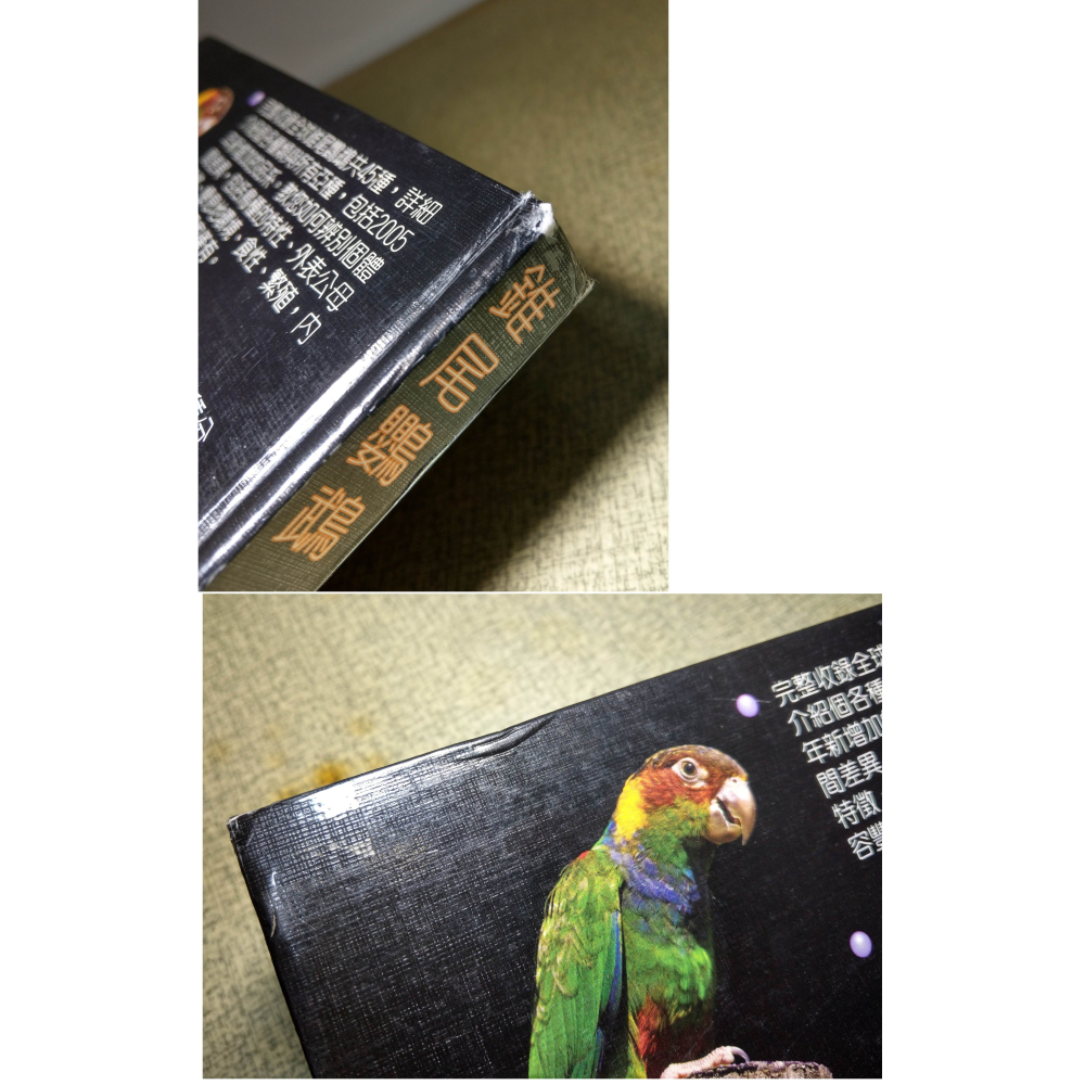 錐尾鸚鵡(書皮多 磨破損、碰撞凹痕)│Vanessa F.│卡布里│鸚鵡百科叢書02、2、鸚鵡、書、二手書│六成新-細節圖5