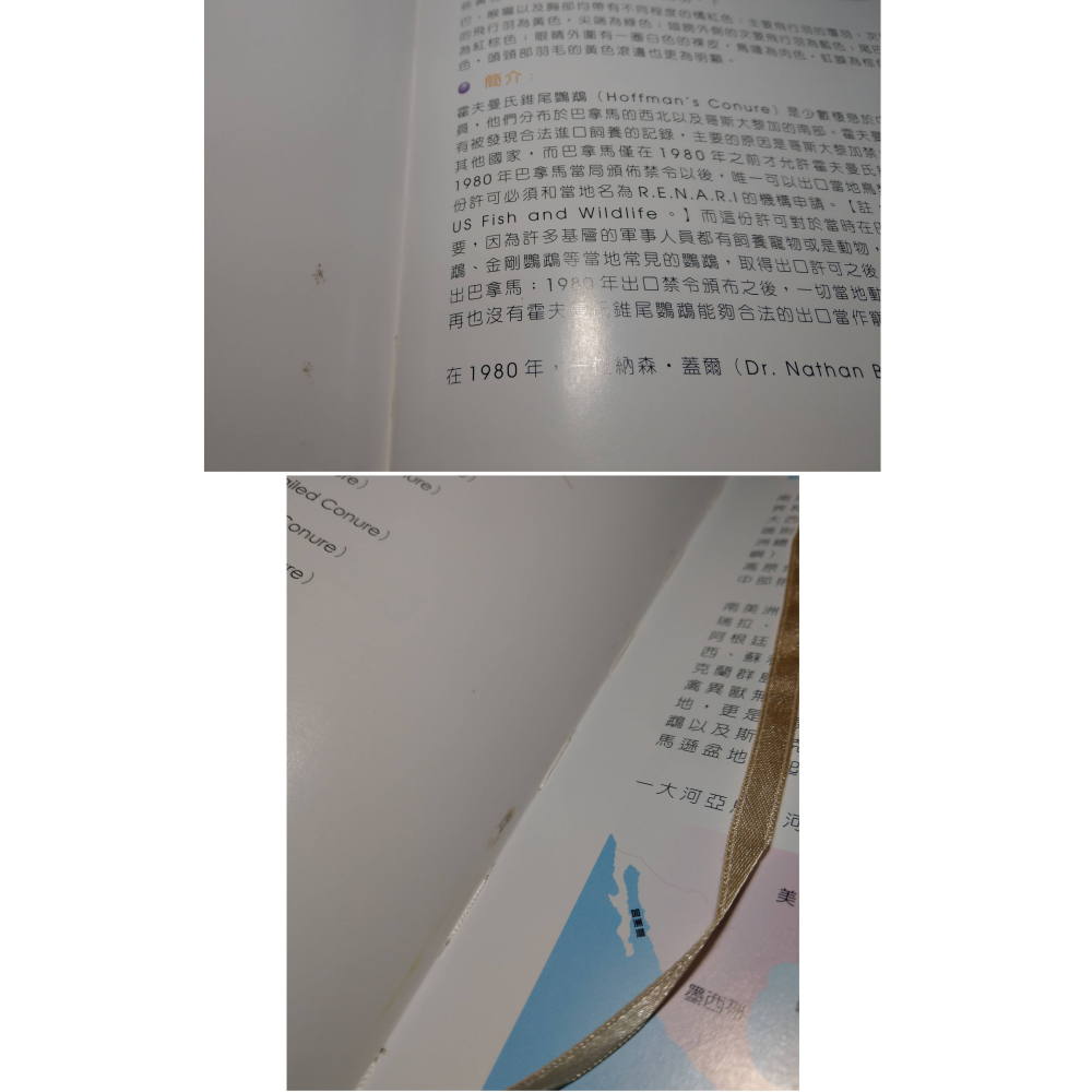 錐尾鸚鵡(書皮多 磨破損、碰撞凹痕)│Vanessa F.│卡布里│鸚鵡百科叢書02、2、鸚鵡、書、二手書│六成新-細節圖7