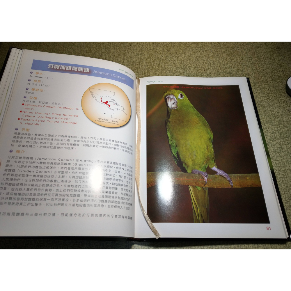 錐尾鸚鵡(書皮多 磨破損、碰撞凹痕)│Vanessa F.│卡布里│鸚鵡百科叢書02、2、鸚鵡、書、二手書│六成新-細節圖9