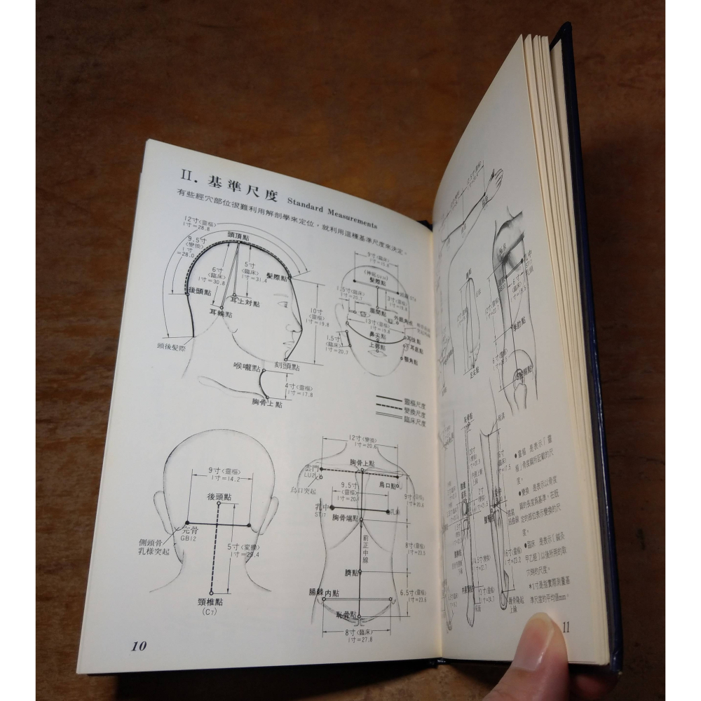 臨床經穴圖(泛黃書斑)│木下晴都│培琳│臨床 經穴 圖、書、二手書│六成新-細節圖8