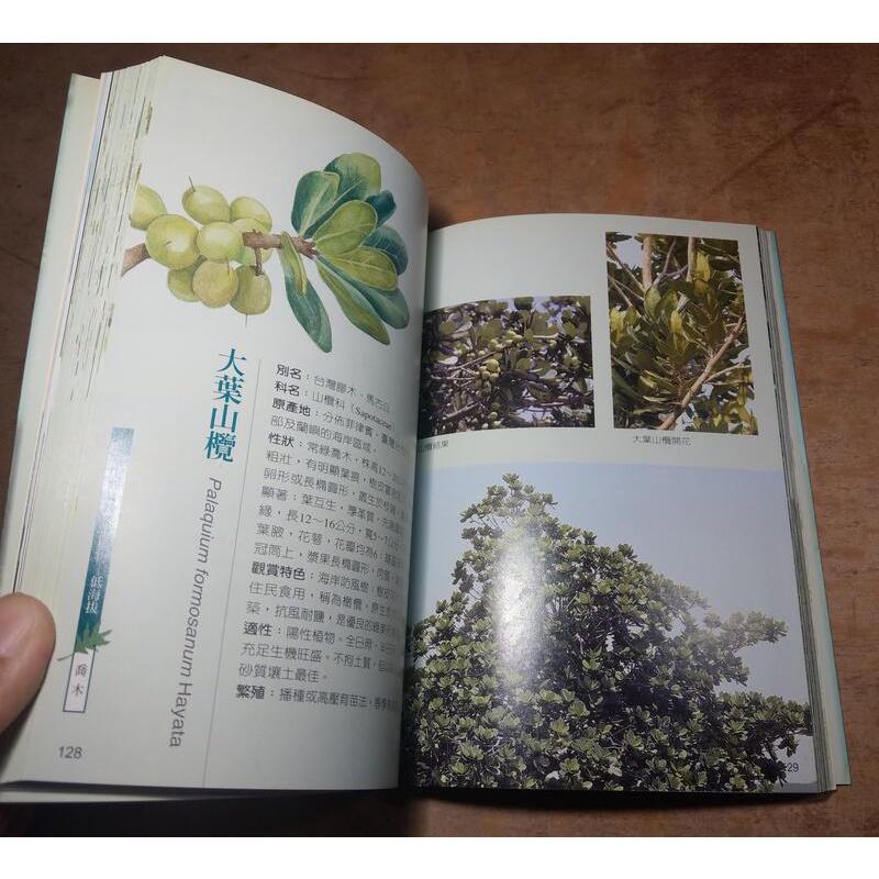 台灣原生觀賞綠美化植物: 低海拔│沈競辰│9789570197273│七成新-細節圖5