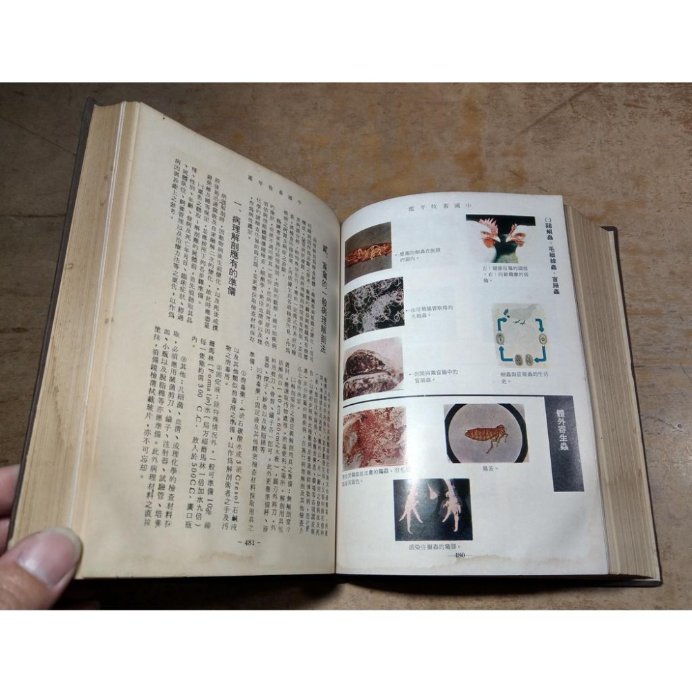 (民國63年三版)中國畜牧年鑑(水痕、水痕皺痕)│中國畜牧雜誌社│老書-細節圖5