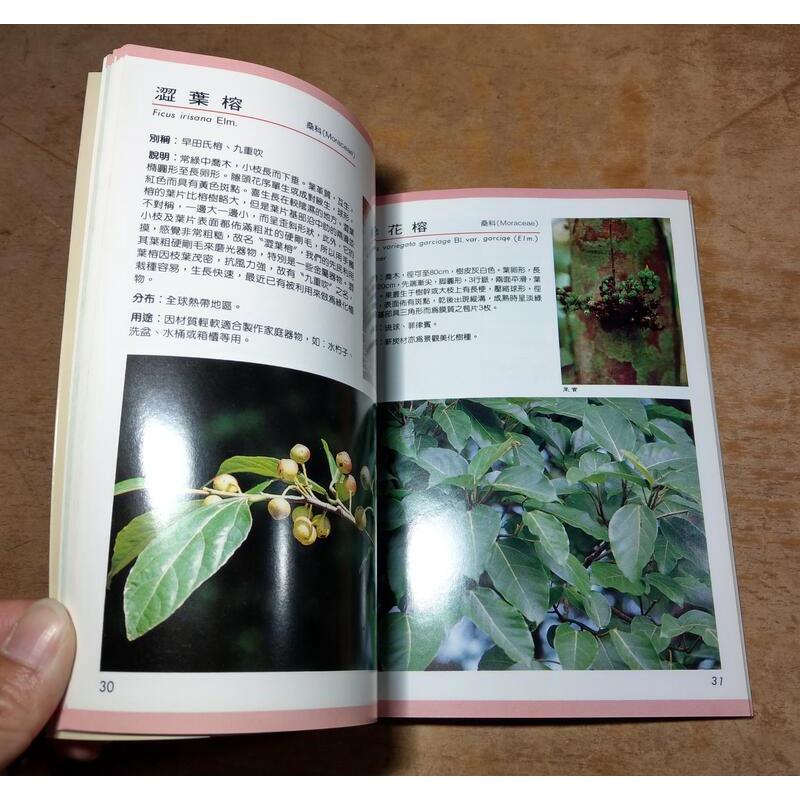 知本森林遊樂區 植物解說手冊(書頁有些彎曲弧度)│林務局│知本森林遊樂區植物解說手冊│七成新-細節圖7