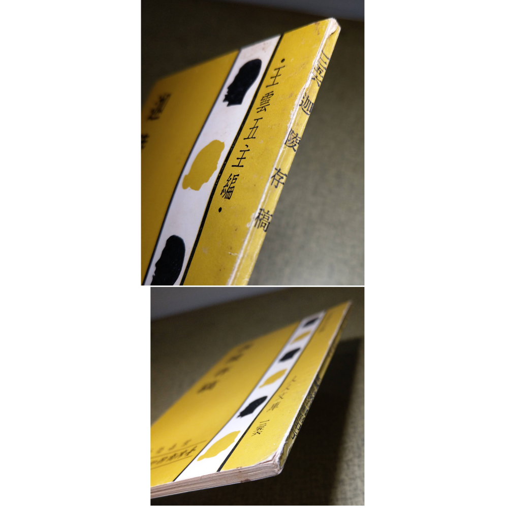 迦陵存稿(泛黃斑、黃漬，許多劃線註記)│葉嘉瑩│臺灣商務 人人文庫│台灣、台灣商務、台灣商務印書館、書、二手書│老書-細節圖4