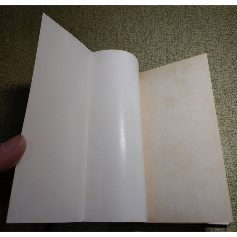 迦陵存稿(泛黃斑、黃漬，許多劃線註記)│葉嘉瑩│臺灣商務 人人文庫│台灣、台灣商務、台灣商務印書館、書、二手書│老書-細節圖9