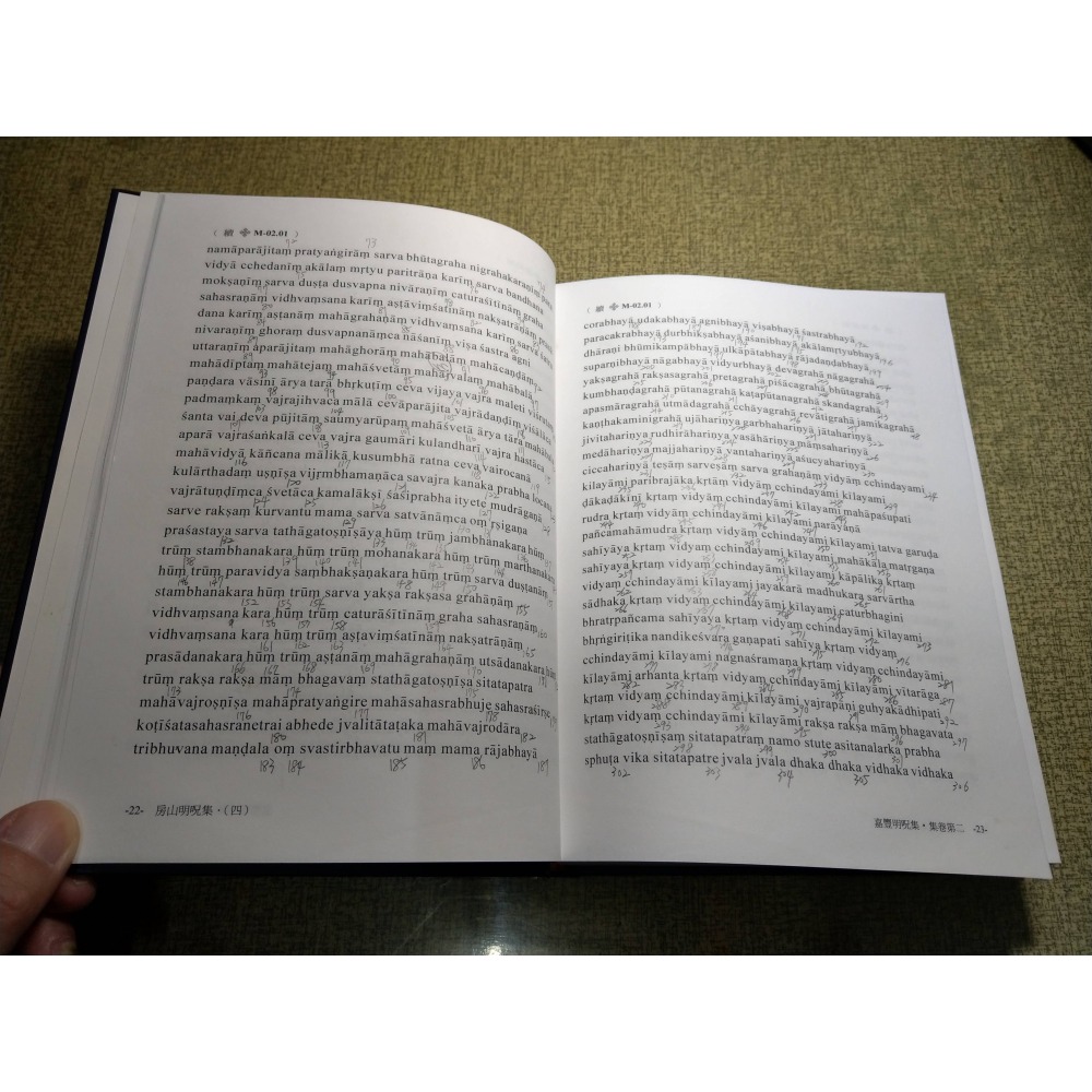 房山明咒集：全五冊│林光明│嘉豐│一、二、三、四、五、1、2、3、4、5、書、二手書、5冊│七成新-細節圖8
