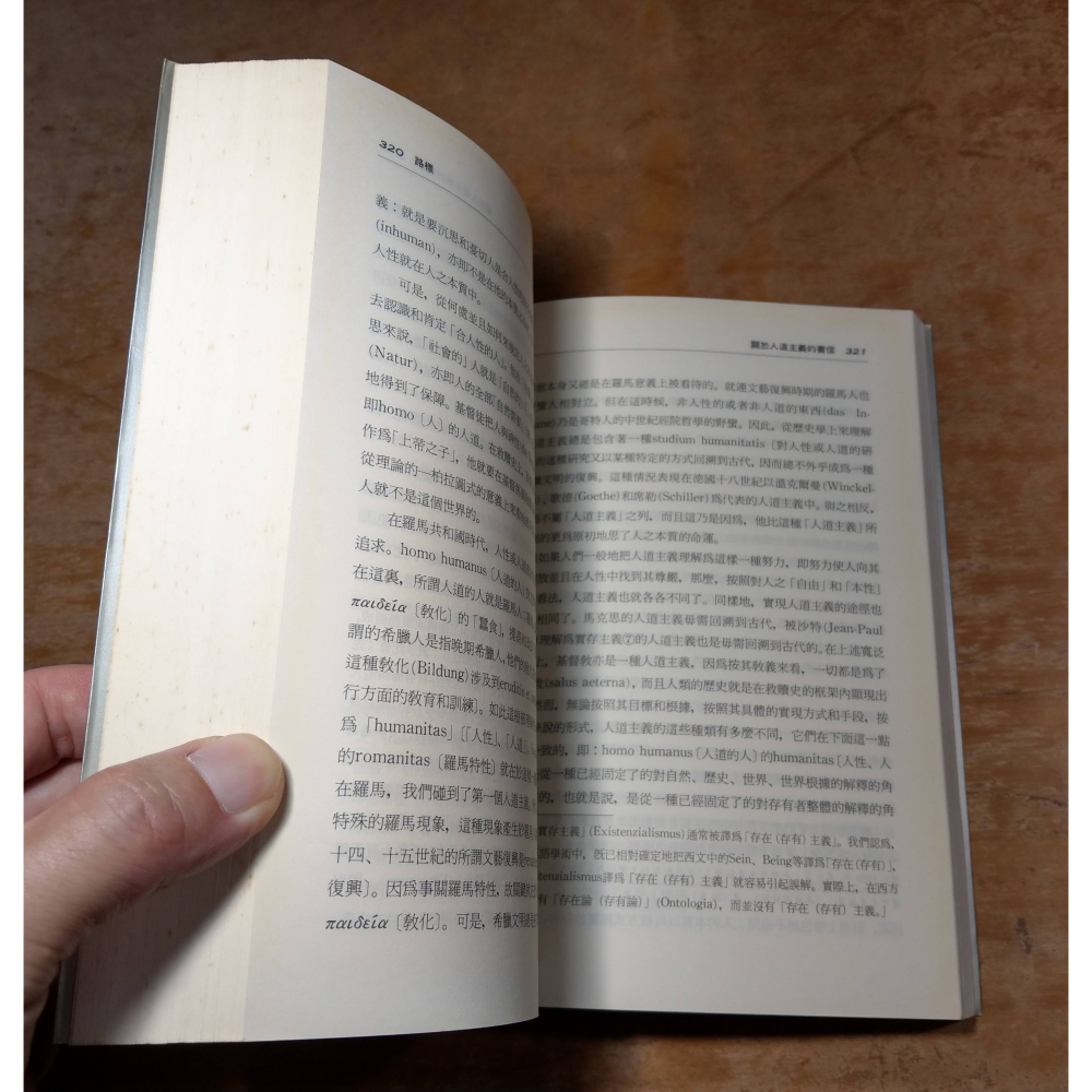 路標：Wegmarken(已泛黃、多書斑)│馬丁 海德格│時報│Heidegger、書、二手書│六成新-細節圖8