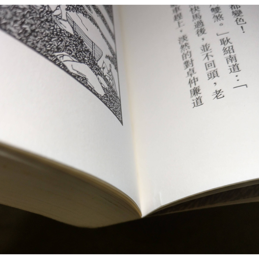白髮魔女傳：上冊+下冊2書(泛黃斑)│梁羽生│風雲時代│梁羽生精品集、梁羽生武俠、上、下、上下、書、二手書、小說│六成新-細節圖6