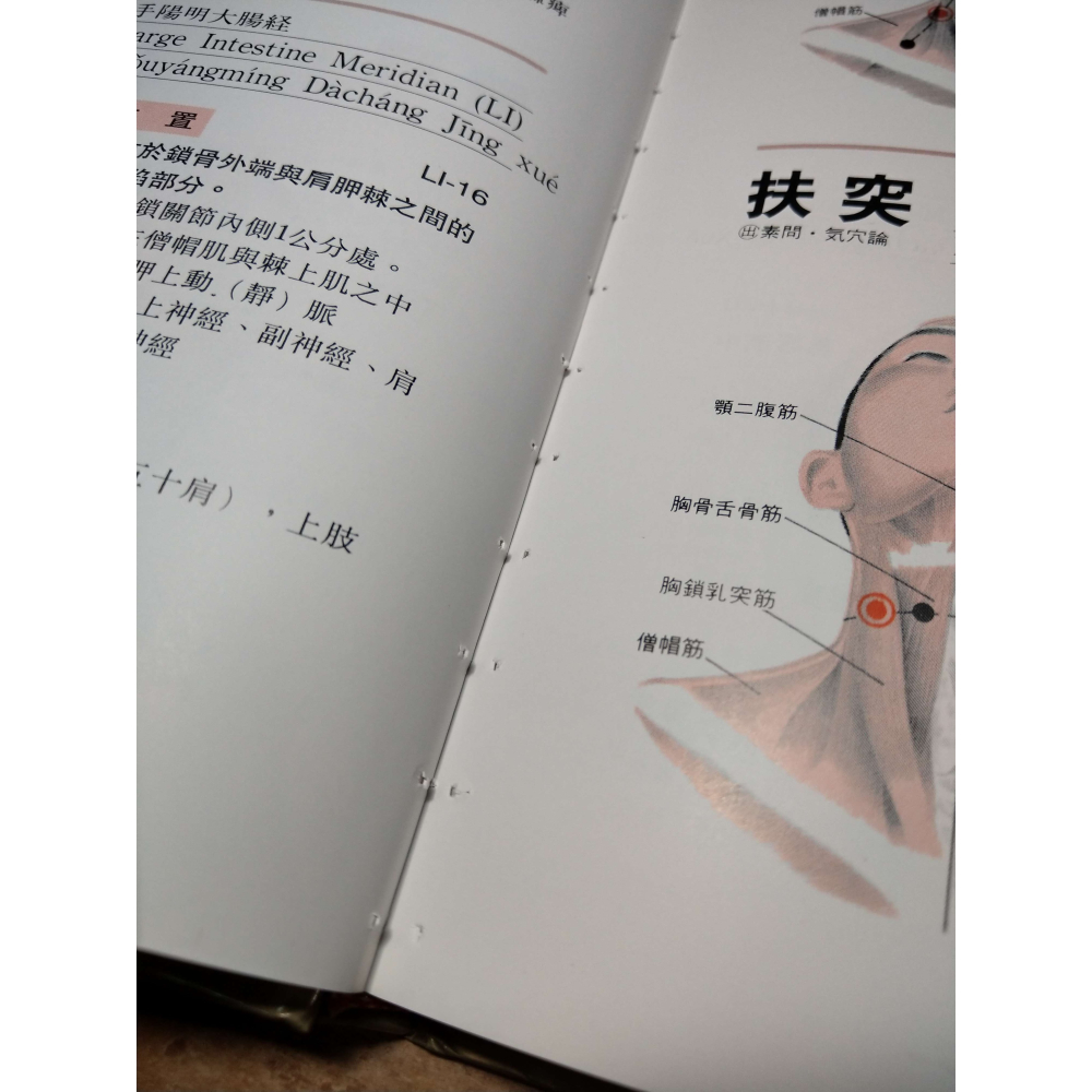 (精裝書)經絡與穴道(泛黃、書斑)│木下晴都、代田文彥│培琳│健康生活4、經絡 與 穴道、書、二手書│七成新-細節圖6