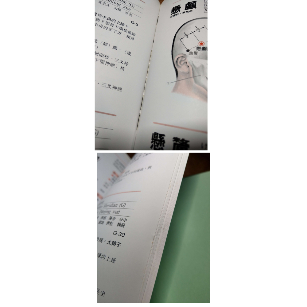 (精裝書)經絡與穴道(泛黃、書斑)│木下晴都、代田文彥│培琳│健康生活4、經絡 與 穴道、書、二手書│七成新-細節圖7