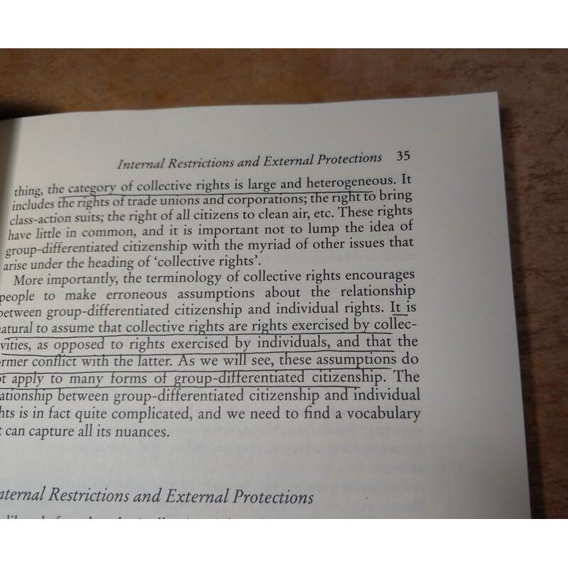 原文書Multicultural Citizenship: A Liberal│Kymlicka│Oxford│七成新-細節圖7