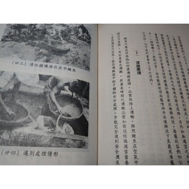1971新養鰻講座│內容文字：日文、繁體字│老書-細節圖5