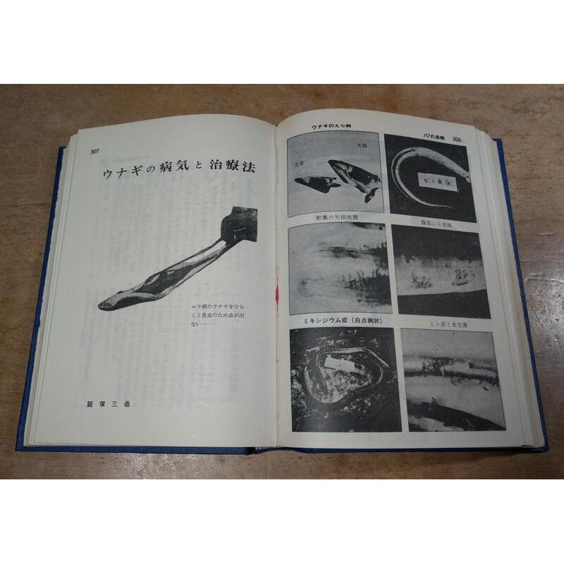 1971新養鰻講座│內容文字：日文、繁體字│老書-細節圖6