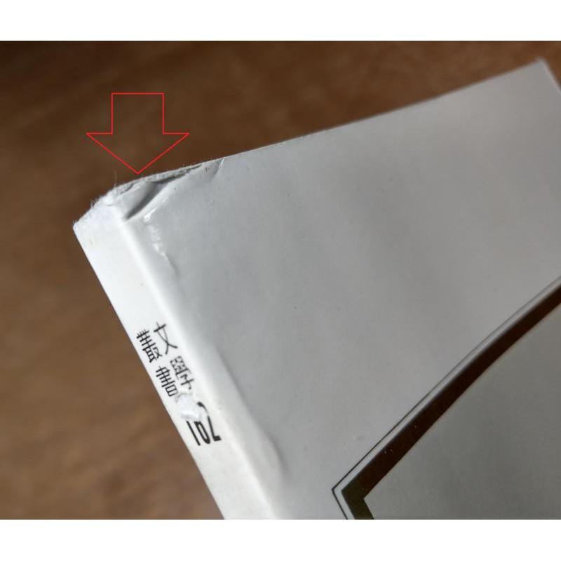 民國75年初版：瓊美卡隨想錄(繁體書)│木心│洪範書店│六成新-細節圖5