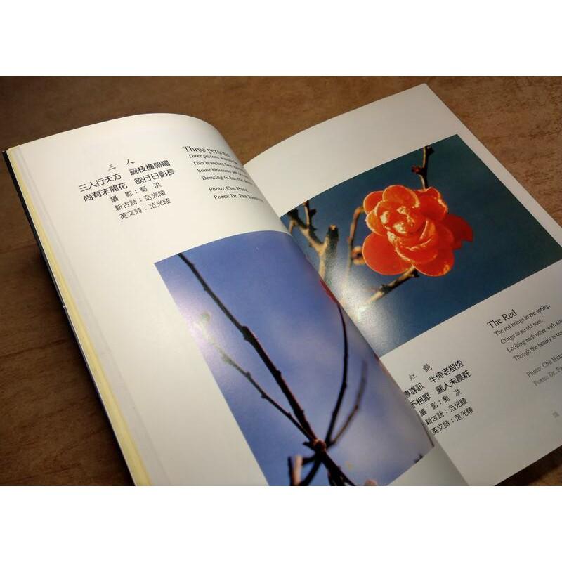 梅(1995年出版)│蜀洪 攝影│八八│9579966400梅攝影集│七成新-細節圖5