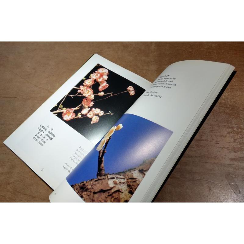 梅(1995年出版)│蜀洪 攝影│八八│9579966400梅攝影集│七成新-細節圖6
