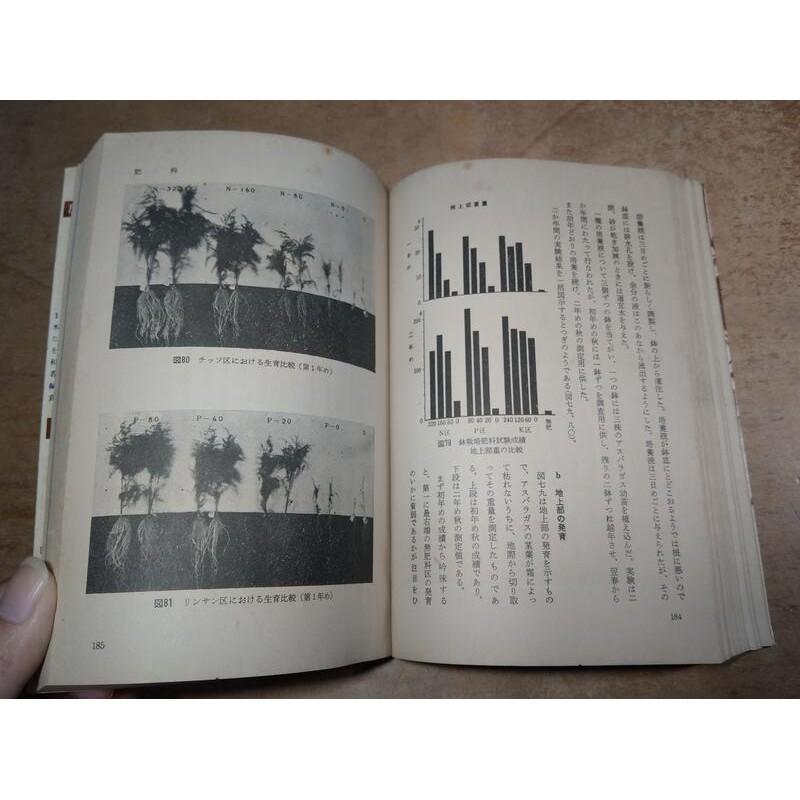 (日文書)蔬菜生產技術5：蘆筍(附錄：蘆筍栽培法中文)│尺田英吉│誠文堂新光社│老書-細節圖5