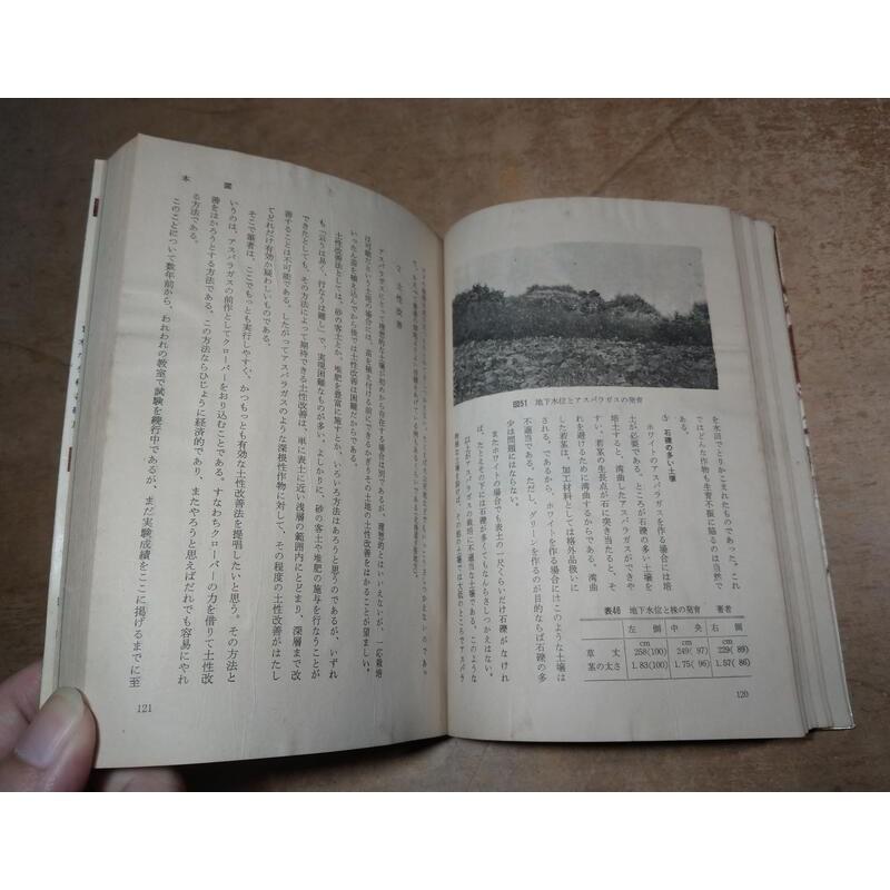 (日文書)蔬菜生產技術5：蘆筍(附錄：蘆筍栽培法中文)│尺田英吉│誠文堂新光社│老書-細節圖6