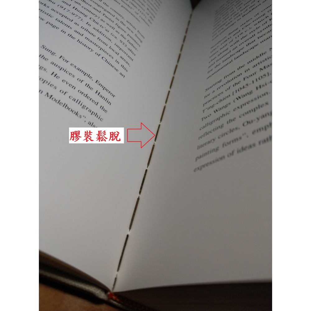 大觀：北宋書畫特展(膠裝鬆脫)│林柏亭│國立故宮博物院│故宮、故宮博物院、北宋 書畫特展、書、二手書、书籍│七成新-細節圖7