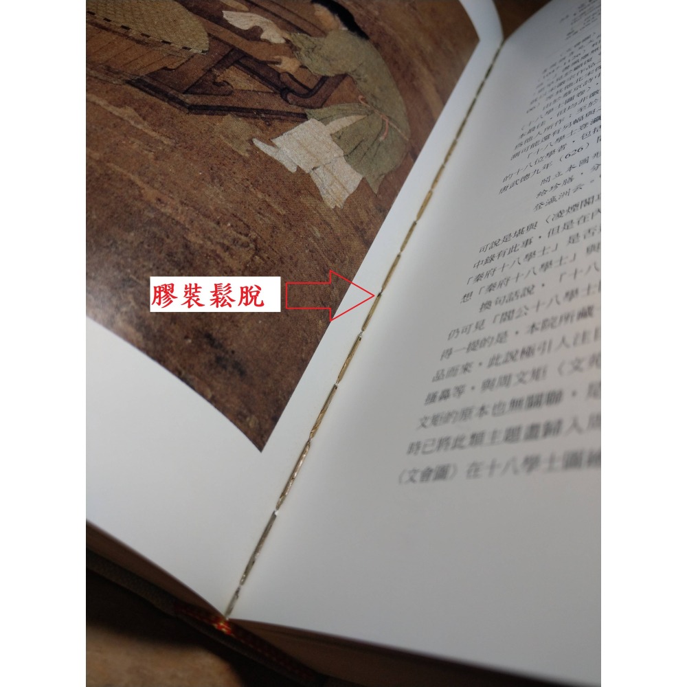 大觀：北宋書畫特展(膠裝鬆脫)│林柏亭│國立故宮博物院│故宮、故宮博物院、北宋 書畫特展、書、二手書、书籍│七成新-細節圖8