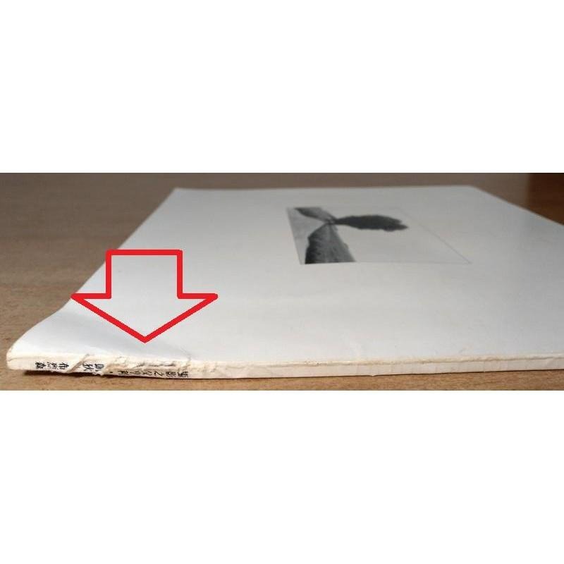 攝影之父亨利凱狄布烈森：Henri Cartier-Bresson(書背磨破損、裝訂鬆脫)│台灣省立博物館│老書-細節圖3