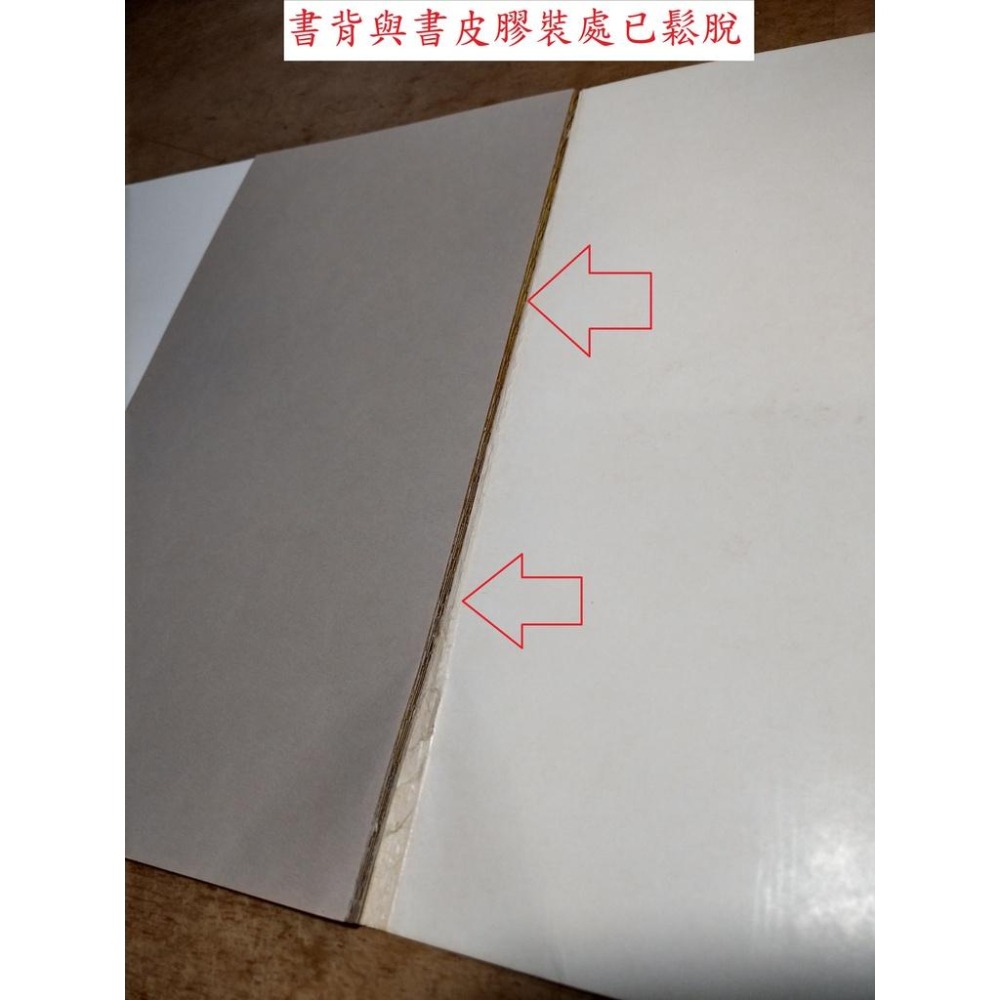 攝影之父亨利凱狄布烈森：Henri Cartier-Bresson(書背磨破損、裝訂鬆脫)│台灣省立博物館│老書-細節圖6