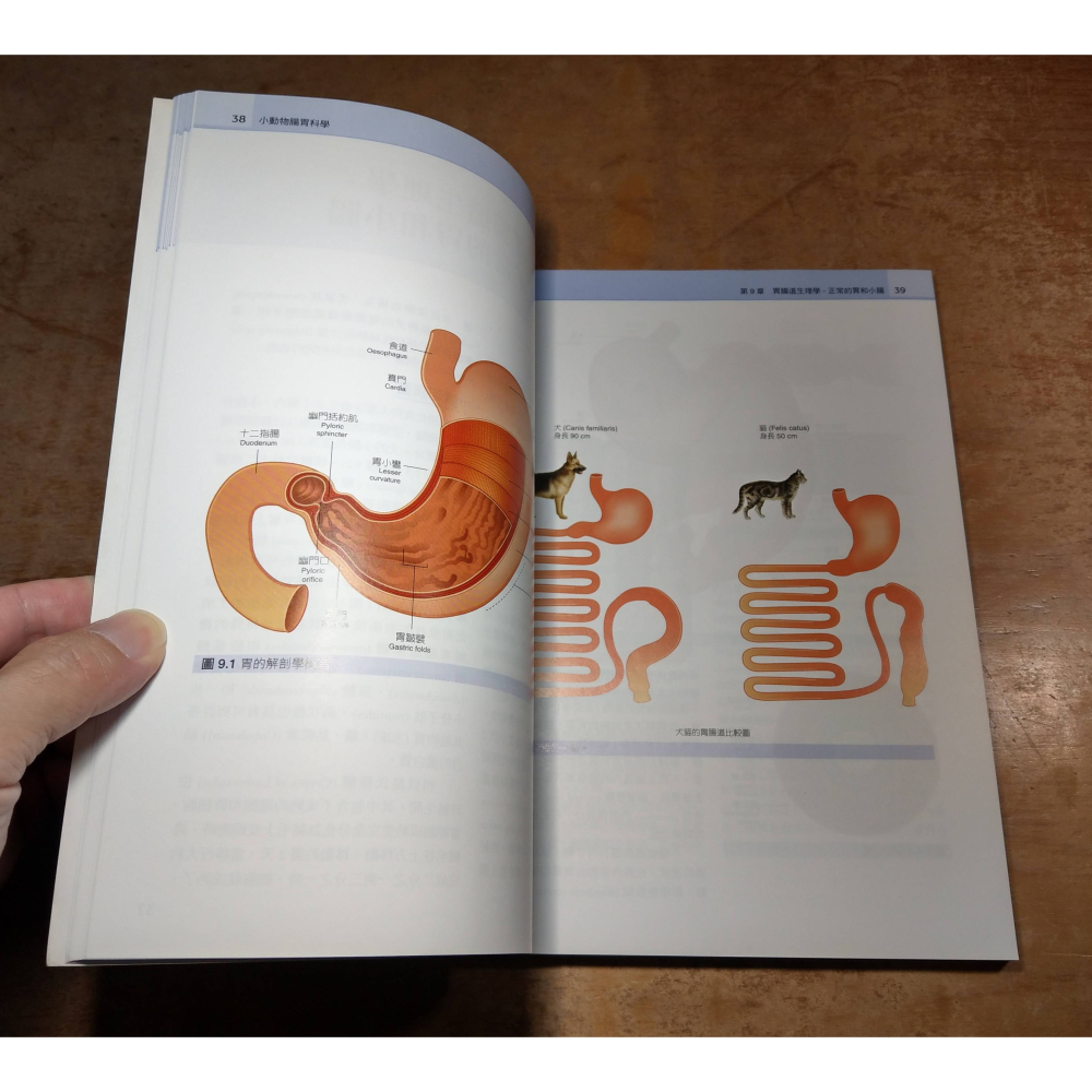小動物腸胃科學│Chandler、賴昱璋│小動物 腸胃科學、書、二手書│七成新-細節圖8
