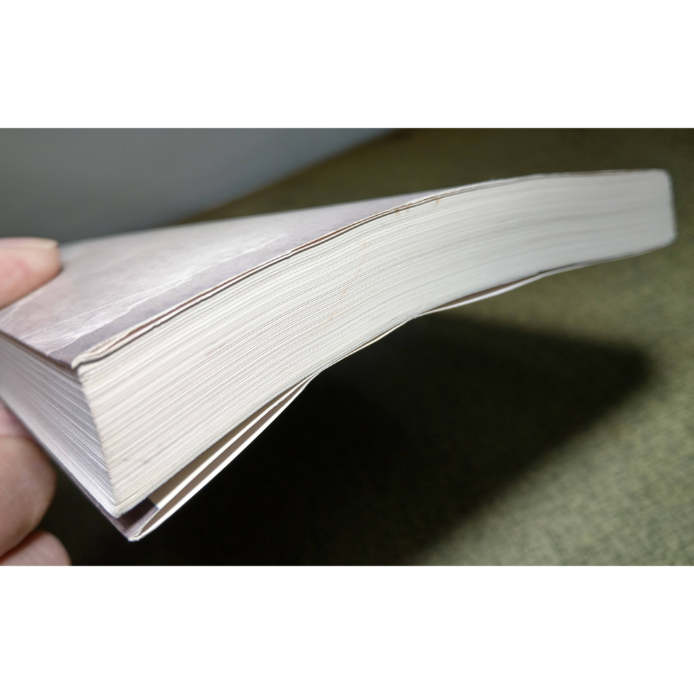 (二手書、七成新)雨：Rain(書皮題字「全新修訂版」)│張漠藍│北極之光│書、二手書、小說、夜幕低垂 73-細節圖3