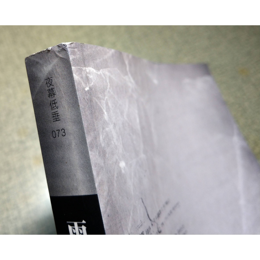 (二手書、七成新)雨：Rain(書皮題字「全新修訂版」)│張漠藍│北極之光│書、二手書、小說、夜幕低垂 73-細節圖4