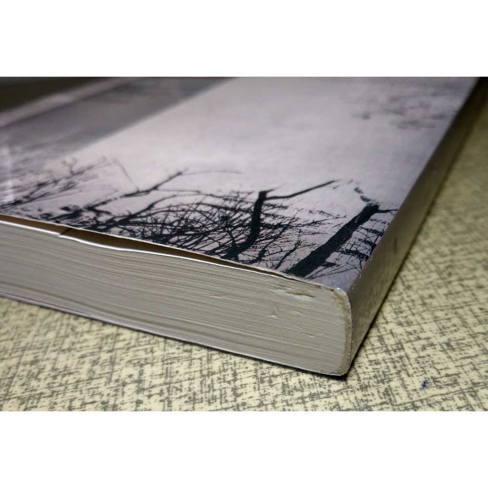 (二手書、七成新)雨：Rain(書皮題字「全新修訂版」)│張漠藍│北極之光│書、二手書、小說、夜幕低垂 73-細節圖6