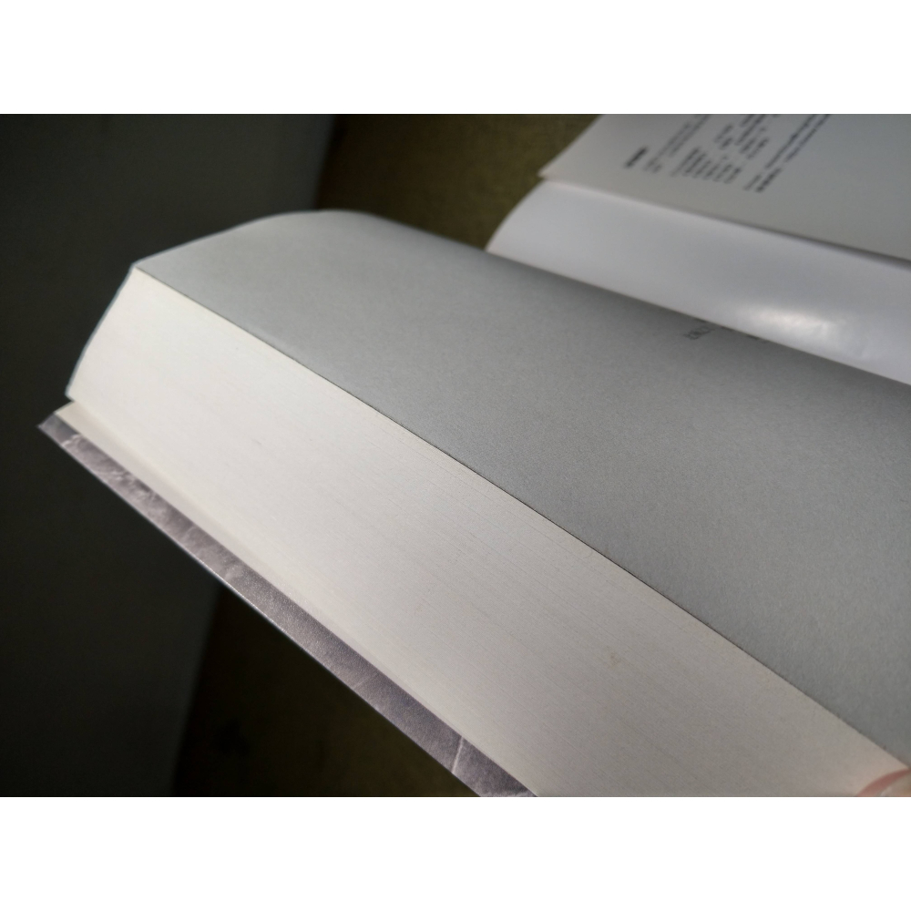 (二手書、七成新)雨：Rain(書皮題字「全新修訂版」)│張漠藍│北極之光│書、二手書、小說、夜幕低垂 73-細節圖7