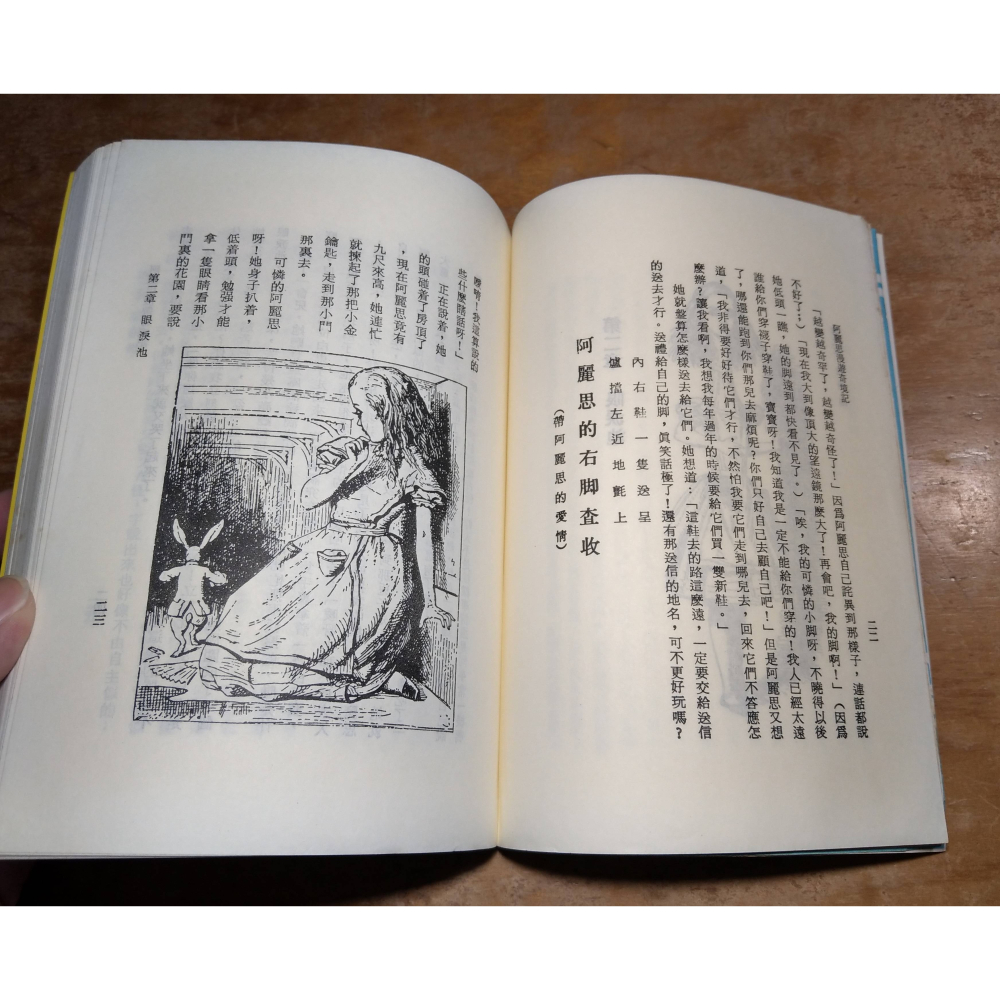 阿麗絲漫遊奇境記│路易斯加樂爾、趙元任 譯│水牛│書、二手書、或譯為：愛麗絲漫遊奇境│老書-細節圖5