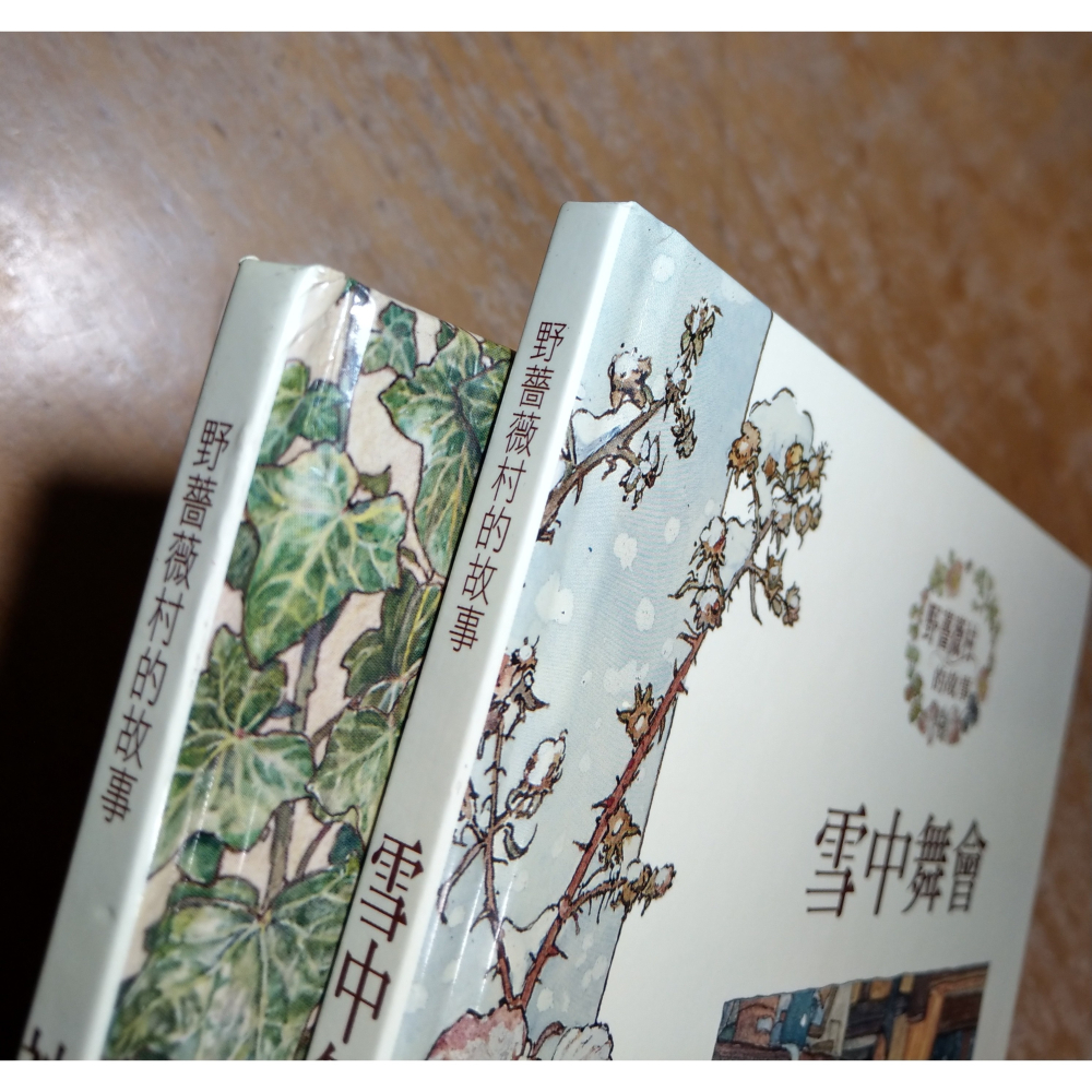 雪中舞會+神祕的樓梯：2書合售(泛黃、書斑)│吉兒 巴克蓮│經典傳訊│野薔薇村的故事、神秘的樓梯、書、二手書│六成新-細節圖4