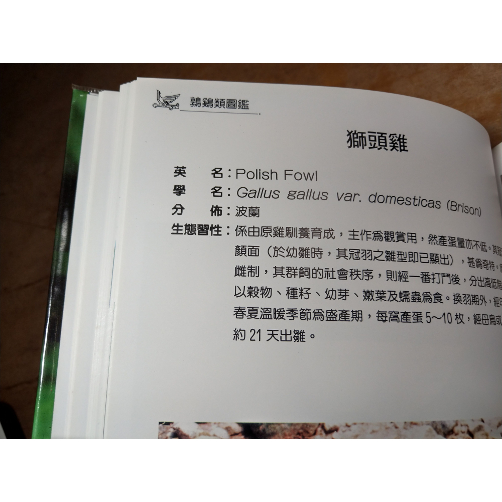 臺灣常見鶉雞類圖鑑│臺灣省立鳳凰谷鳥園│台灣常見鶉雞類圖鑑、鳳凰谷、鳳凰谷鳥園、書、二手書│七成新-細節圖7