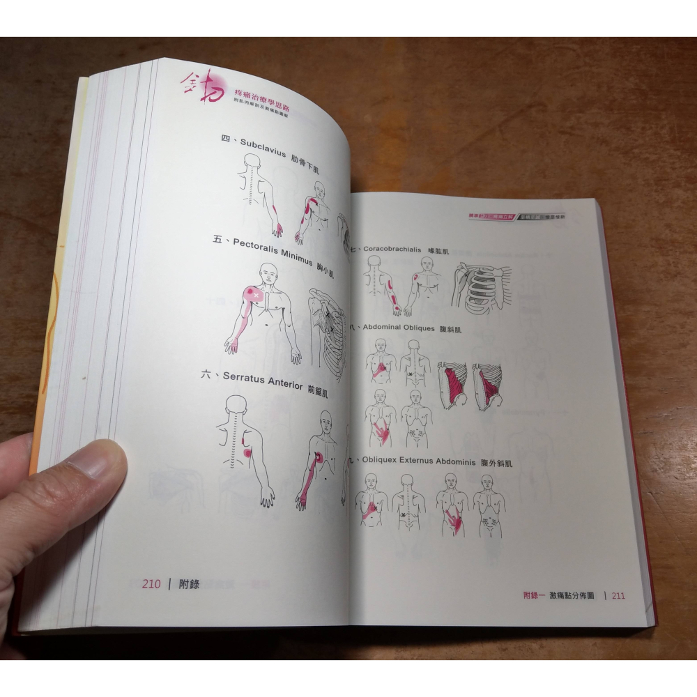 針刀疼痛治療學思路│蔡德祥│台北市中醫師公會│針刀 疼痛治療學思路、書、二手書│七成新-細節圖8