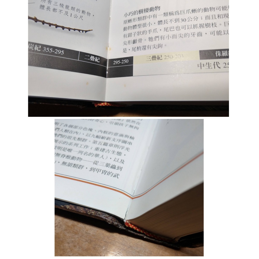 (精裝書)恐龍與史前生物百科全書(上光薄膜剝落中)│蘭伯特│DK、貓頭鷹│恐龍 史前生物 百科全書、書、二手書│六成新-細節圖6