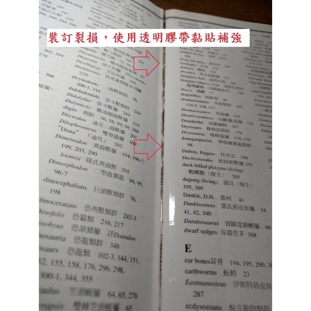 (精裝書)恐龍與史前生物百科全書(上光薄膜剝落中)│蘭伯特│DK、貓頭鷹│恐龍 史前生物 百科全書、書、二手書│六成新-細節圖8